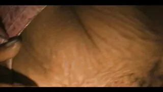 অশ্লীল সেক্সি কিশোর  ...