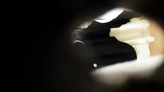 বন্য স্বর্ণকেশী মেলি ...