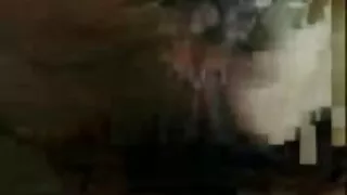 যৌন আকর্ষণীয় ফরাসি  ...
