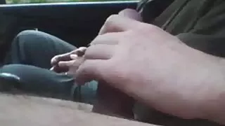 বড় ব্রেস্টেড শ্যামা ...