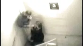 দুই তরুণ সুন্দরী ভদ্ ...