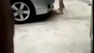 Buxom বাংলা চুদাচুদি ...