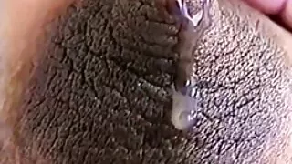 জমকালো গাধা বাংলা ভা ...