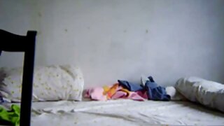 গাড়ি যৌনতা