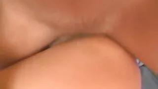 ক্ষুদে এশিয়ান ওয়েট ...