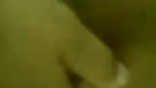 হর্নি হটি অ্যাশলে ফা ...