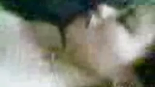 কালো চামড়ার নিম্ফো  ...