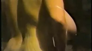 স্তূপ এবং লুট চুদাচু ...