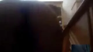 কালো স্টকিংসে বুটিলি ...