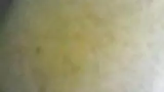 আবর্জনা খুঁজছেন কোদা ...