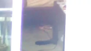 বড় তলানিযুক্ত চুদাচ ...