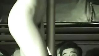 লুটিফুল অত্যাশ্চর্য  ...
